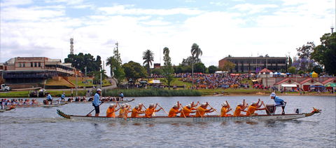 Jacaranda Dragon Boat Races - Holiday Great Ocean Road 0
