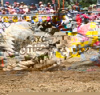 Jindabyne's Man From Snowy River Rodeo - Holiday Great Ocean Road