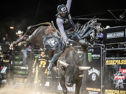 PBR Hawkesbury Stampede - Holiday Great Ocean Road 0