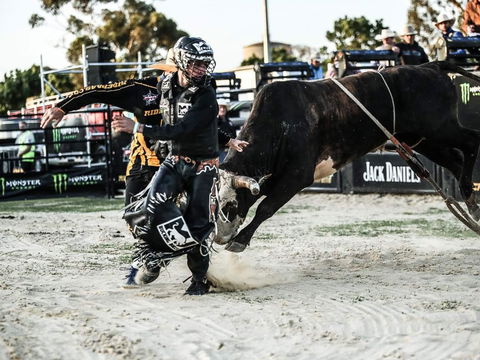 PBR Hawkesbury Stampede - Holiday Great Ocean Road 2