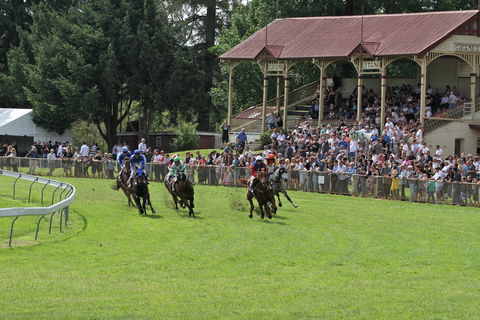 Tumut Derby Day - Holiday Great Ocean Road 0