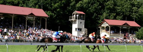 Tumut Derby Day - Holiday Great Ocean Road 1