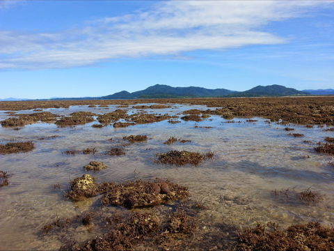 Walk To The Reef - Holiday Great Ocean Road 0