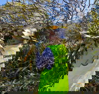 Conservation Volunteers Australia Townsville - Beach Scrub Conservation - Holiday Great Ocean Road