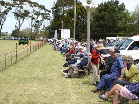 Dean Sheepdog Trials - Old Sniff Classic - Holiday Great Ocean Road 1