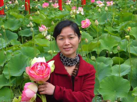 Lotus Flower Season - Holiday Great Ocean Road 1