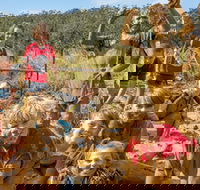 Mini Muddies Obstacle Challenge at Bunnamagoo Estate - Holiday Great Ocean Road