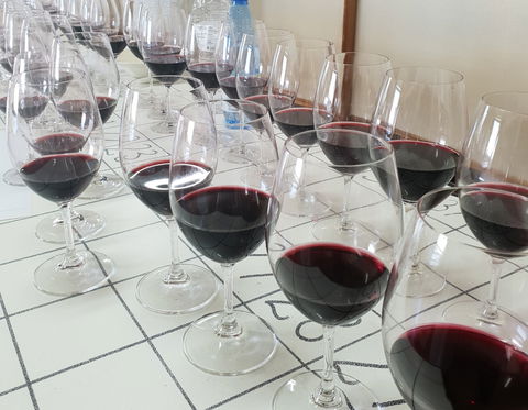 Australian Cool Climate Wine Show - Holiday Great Ocean Road 1