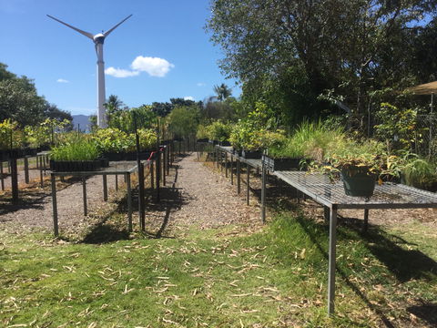 Conservation Volunteers Australia Townsville - Ocean View Nursery - Holiday Great Ocean Road 0