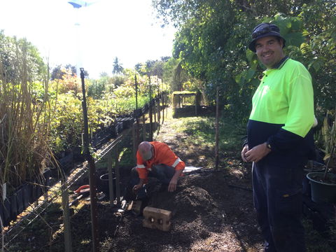 Conservation Volunteers Australia Townsville - Ocean View Nursery - Holiday Great Ocean Road 1