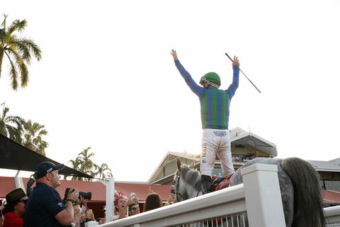 Great Northern Darwin Cup Carnival - Holiday Great Ocean Road 1