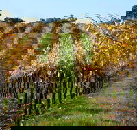 Miners Ridge Wine Tasting - Holiday Great Ocean Road