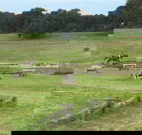 Mount Gambier and District Pony Club Horse Trials 2020 - Holiday Great Ocean Road