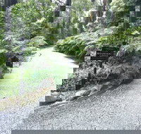 Mountain Lodge - Holiday Great Ocean Road