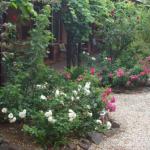 Maldons Eaglehawk Motel - Holiday Great Ocean Road 0