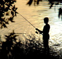 Wooli River Lodges