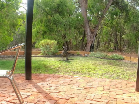 Yallingup Pet Friendly Bush Retreat - Holiday Great Ocean Road 5