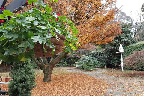 Villa DAmour - Holiday Great Ocean Road 2