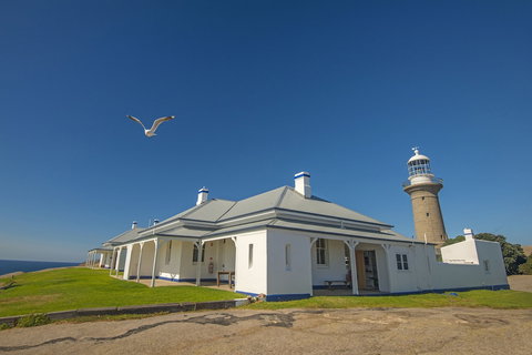 Lavender Vale Cottages - Holiday Great Ocean Road 1