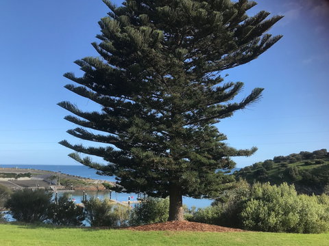 Penneshaw Oceanview Apartments - Holiday Great Ocean Road 5