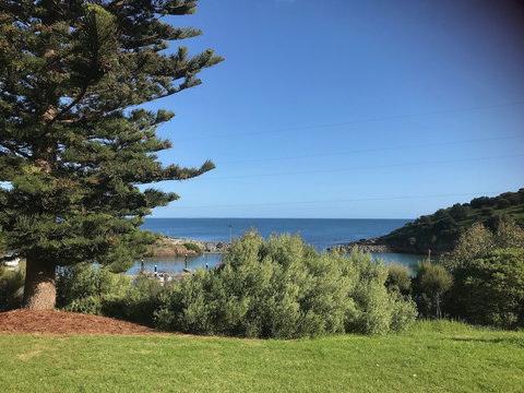 Penneshaw Oceanview Apartments - Holiday Great Ocean Road 4