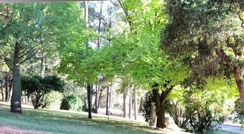 Eemnes Park Estate - Holiday Great Ocean Road 6