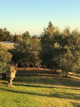 Eemnes Park Estate - Holiday Great Ocean Road 4