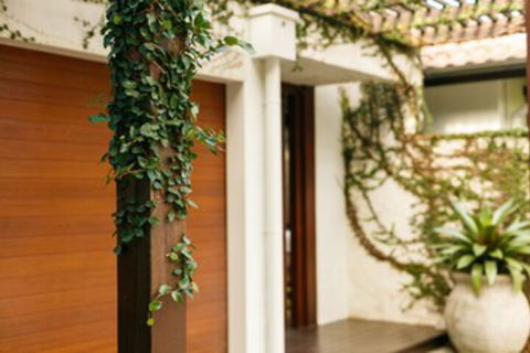 ESPRIT 2 PALM COVE BRAND NEW - Holiday Great Ocean Road 0