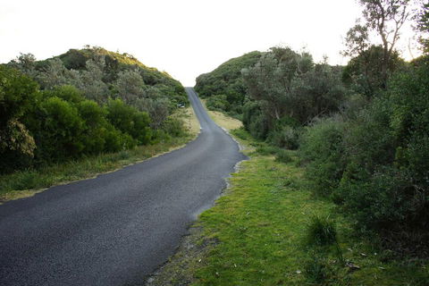 Venus Escapes Guesthouse - Holiday Great Ocean Road 2