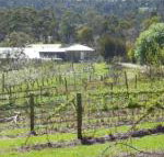 Eureka Farm