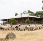 Gilgraves Vineyard Farmstay - Holiday Great Ocean Road