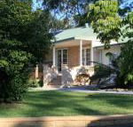 Colins Garden