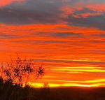 Studio with stunning mountain views - Holiday Great Ocean Road