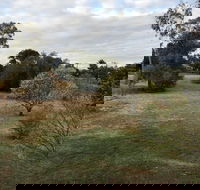 Young Budget Accommodation - Holiday Great Ocean Road