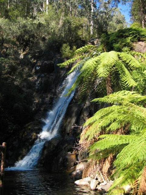 RiverCottage Selfcontained - Holiday Great Ocean Road 2