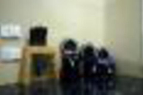 Skymirror Cottage - Holiday Great Ocean Road 2