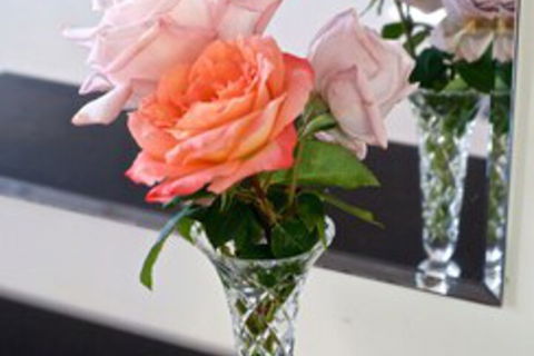 Driftwood Villa - Holiday Great Ocean Road 6