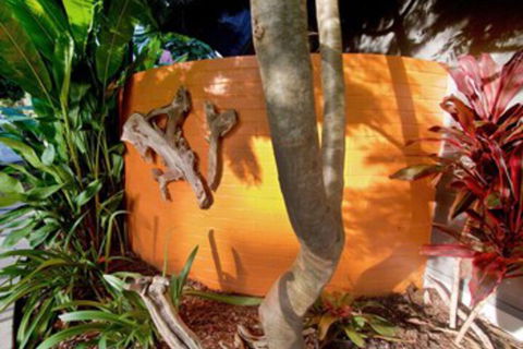 Driftwood Villa - Holiday Great Ocean Road 4