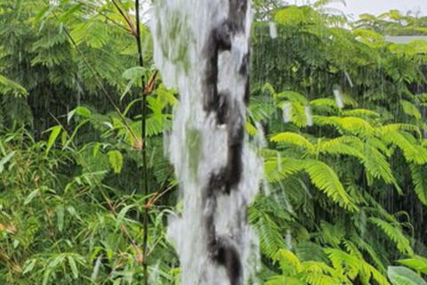 Driftwood Villa - Holiday Great Ocean Road 1