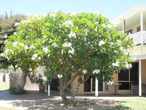 Kalbarri Riverfront Unit - Holiday Great Ocean Road 3