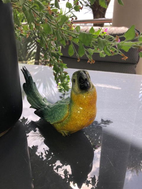 Exclusive Anglesea River Beach Apartment - Holiday Great Ocean Road 1