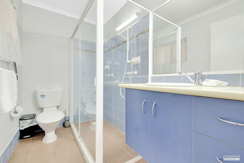 Driftwood On The Beach - Holiday Great Ocean Road 2