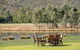 Halls Gap Motel - thumb 4