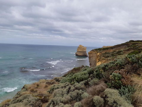 Port Central No 2 - Holiday Great Ocean Road 6