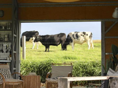 THE SHED Gerroa 4pm Checkout On Sundays & Public Holidays - Holiday Great Ocean Road 6