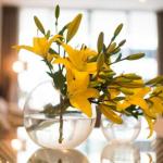 KUI Manhattan Apartments - Holiday Great Ocean Road 0