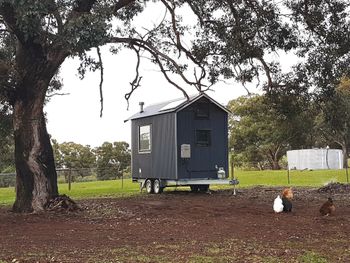 Big Tiny Dale View Tiny House - Holiday Great Ocean Road 1