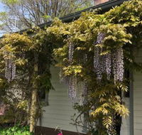Clarence Cottage