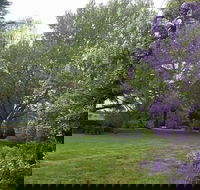Petersons Armidale Winery  Guesthouse - Holiday Great Ocean Road
