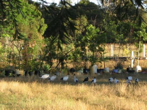 Armadale Farmstay Bed & Breakfast - Holiday Great Ocean Road 5